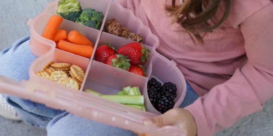 Animal-Shaped Snackle Boxes Only $8.97 on Walmart.com