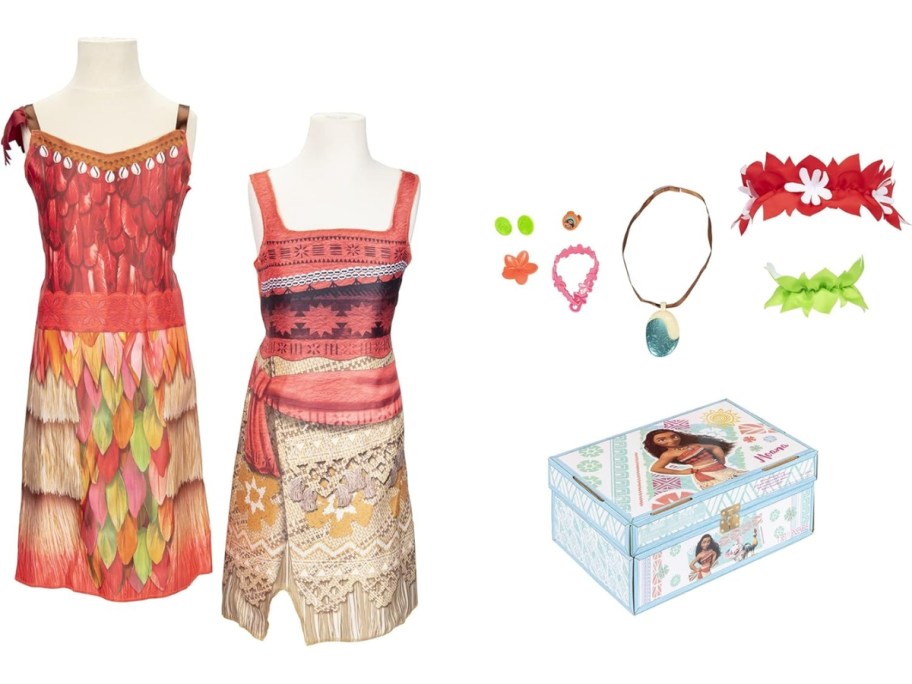 a Disney Moana dress up set
