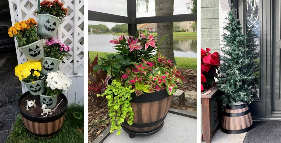 three photos of plants in barrel planters