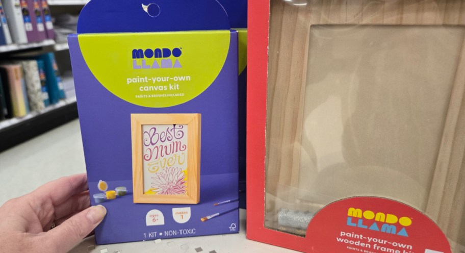 hand holding Mondo Llama canvas kits at the store