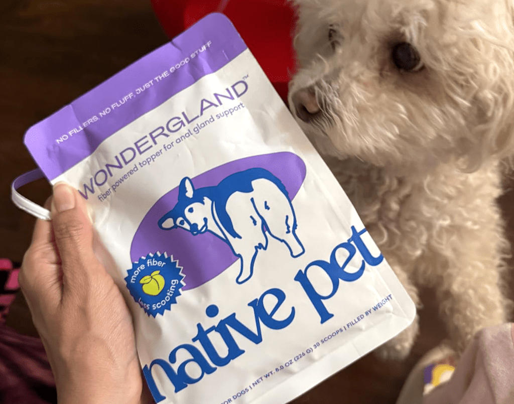 Native Pet dog food 