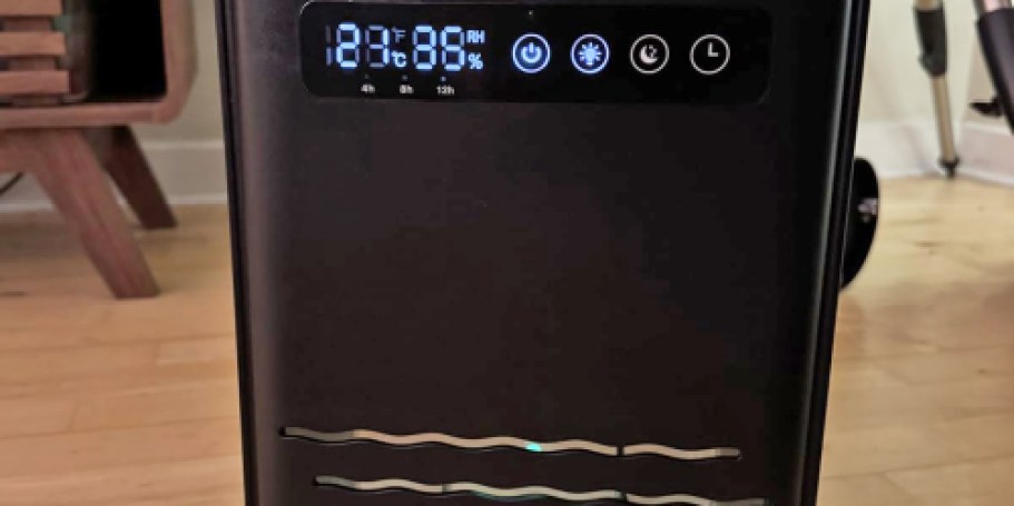 Dehumidifier Just $27.96 Shipped on Amazon (Includes Remote, Timer Functions, & More)