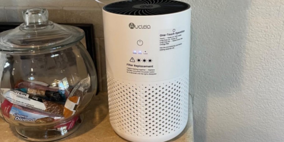 HEPA Air Purifier Only $19.72 Shipped for Prime Members (Reg. $40)