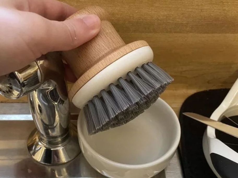 A person holding an everspring brush near a sink