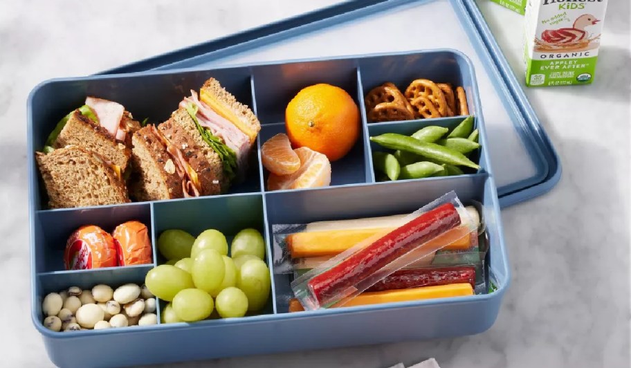 blue figment snackle box