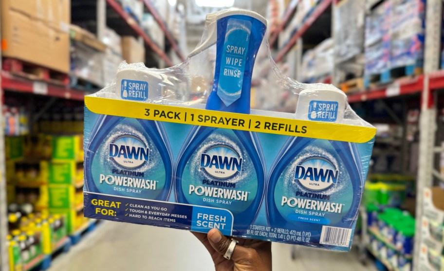 hand holdimg dawnn powerwash set