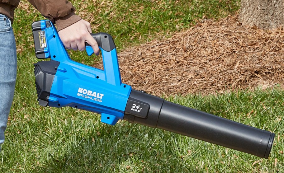 hand holding Cordless Leaf Blower, Charger & Battery Combo set