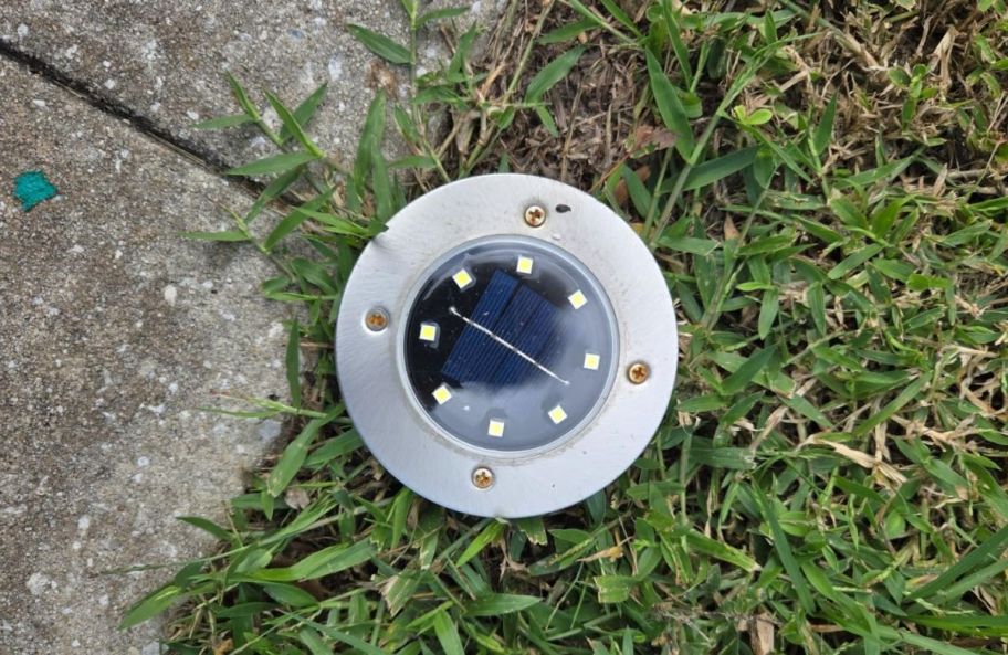 a single solar light