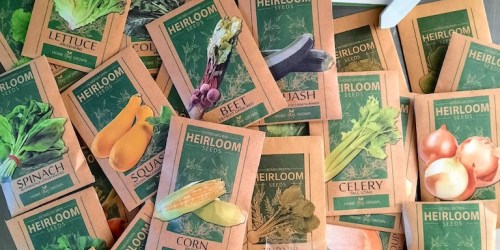 Heirloom Vegetable 7,000 Seed Starter Kit Just $9.99 on Amazon (Reg. $20)