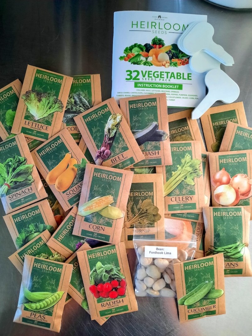 vegetable seed starter