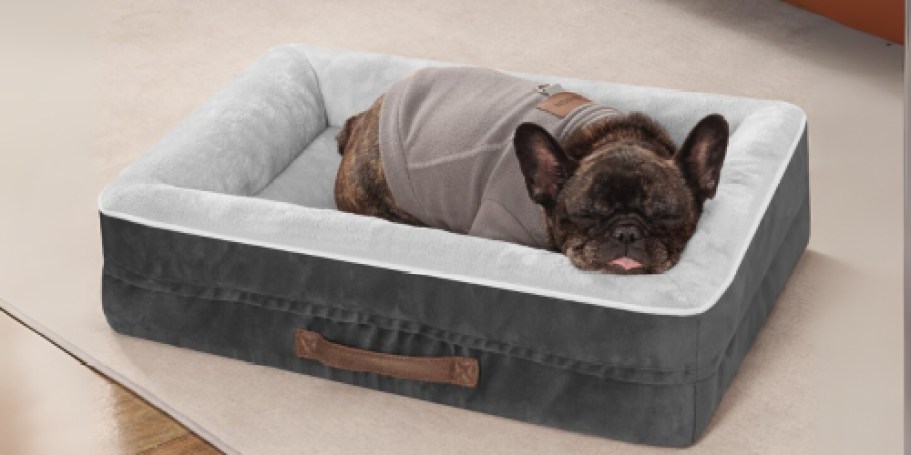 Orthopedic Dog Beds from $19.99 Shipped for Amazon Prime Members