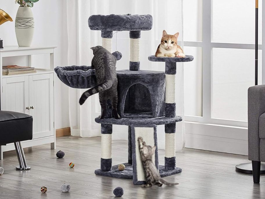 Kittens and cats on a Topeakmart 42" Medium Plush Cat Tree