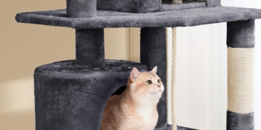 Petco Cat Trees from $39.99 Shipped