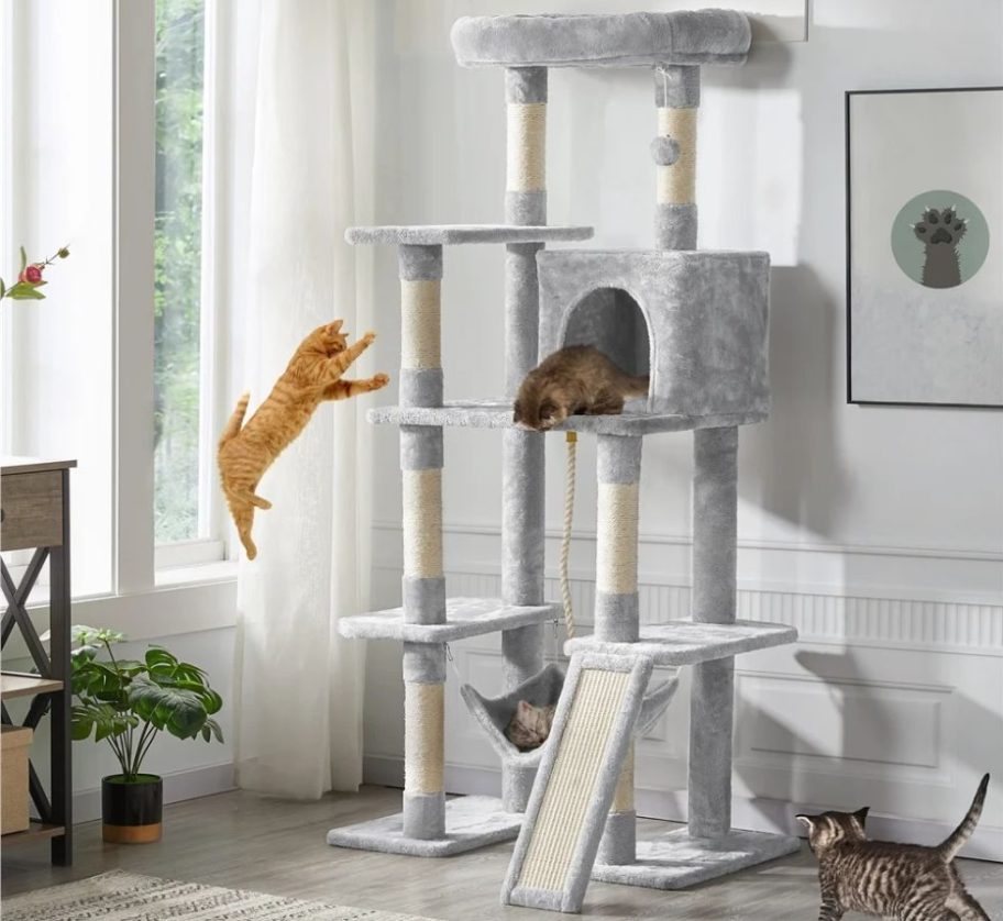 Topeakmart 63" 4-Level Large Cat Tree Tower with cats on it