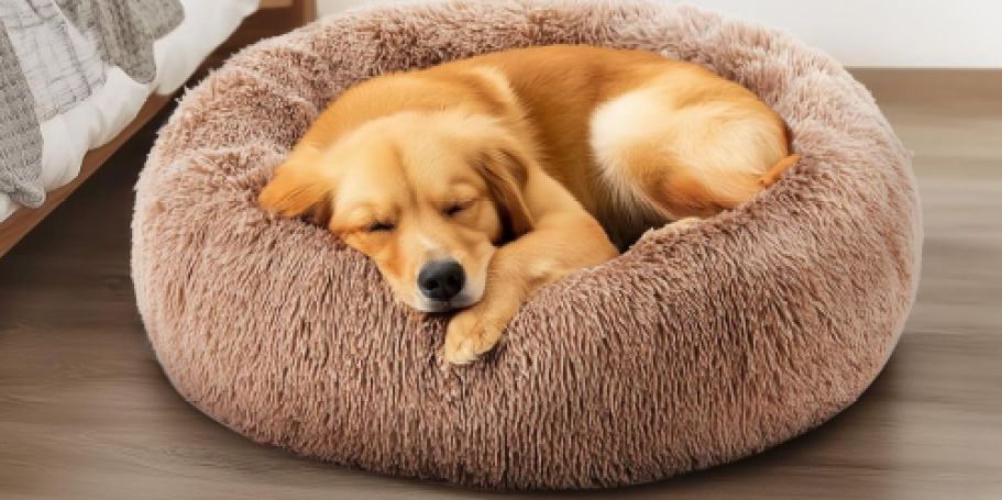 Calming Donut Dog Bed Just $11.98 on Amazon – Lightning Deal!