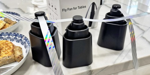 Fly Fans 4-Pack Just $17.54 on Amazon (Keeps Bugs from Landing on Food!)