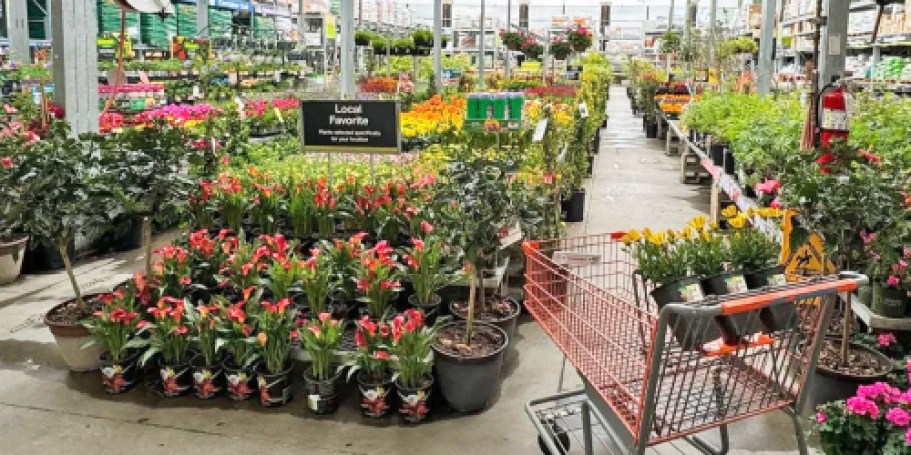 Home Depot 4th of July Sale is LIVE | Save on Plants, Tools, Appliances, & More