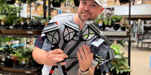 Solar LED Outdoor Path Lights ONLY $2.49 Each on Lowes.com