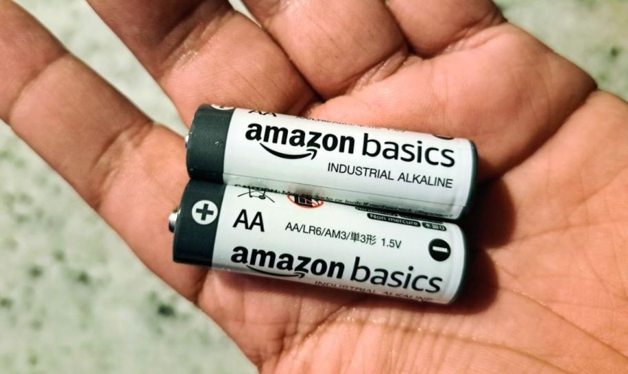a hand holding two AA batteries