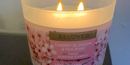 WOW! Score 4 Beloved Products for Just $1.46 After Cash Back at Target (Over $30 Value!)