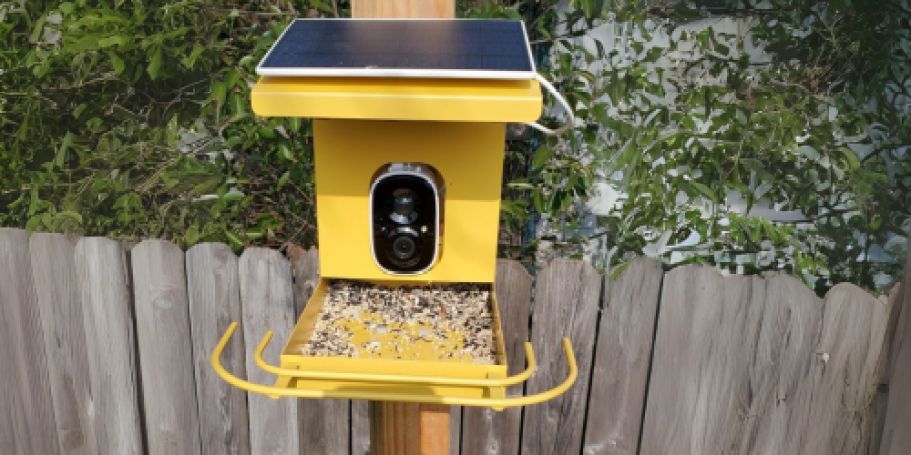 Get 50% Off This Smart Bird Feeder w/ Camera on Amazon
