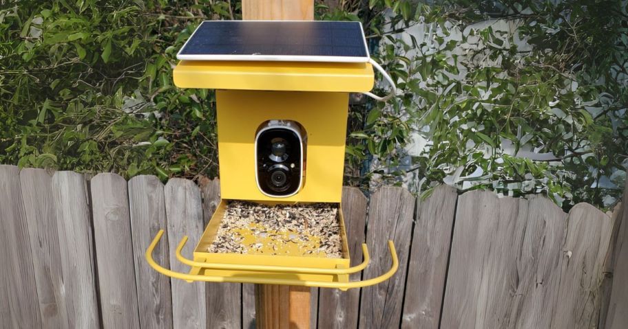 Metal Smart Bird Feeder on pole in yard