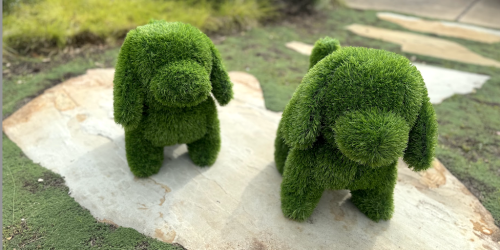 Fun Animal-Shaped Topiaries Only $29.98 for Lowe’s Rewards Members (Reg. $45)
