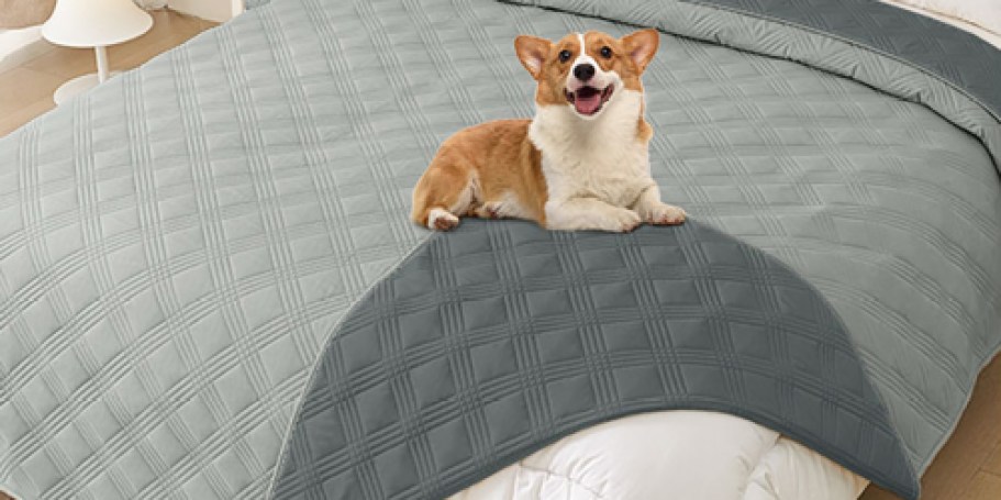 Waterproof Dog Blanket Only $6.99 on Amazon – Protect Your Sofa for Less