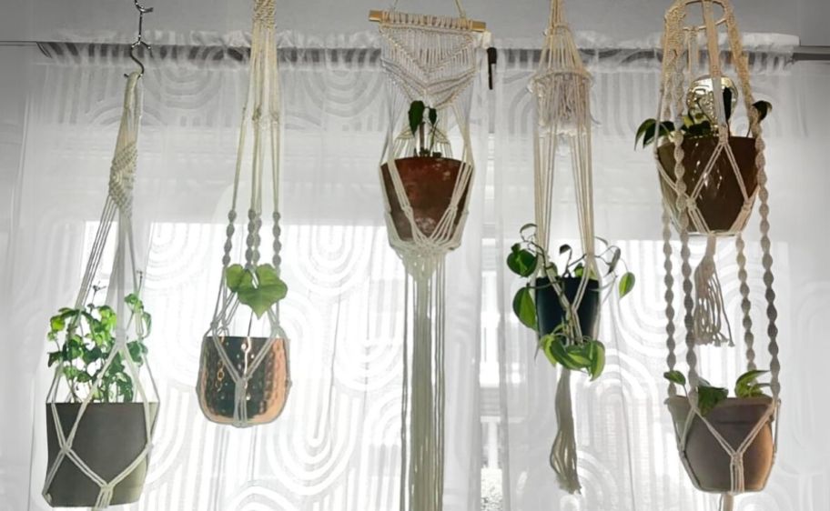 5 hanging macrame plant holders with plants