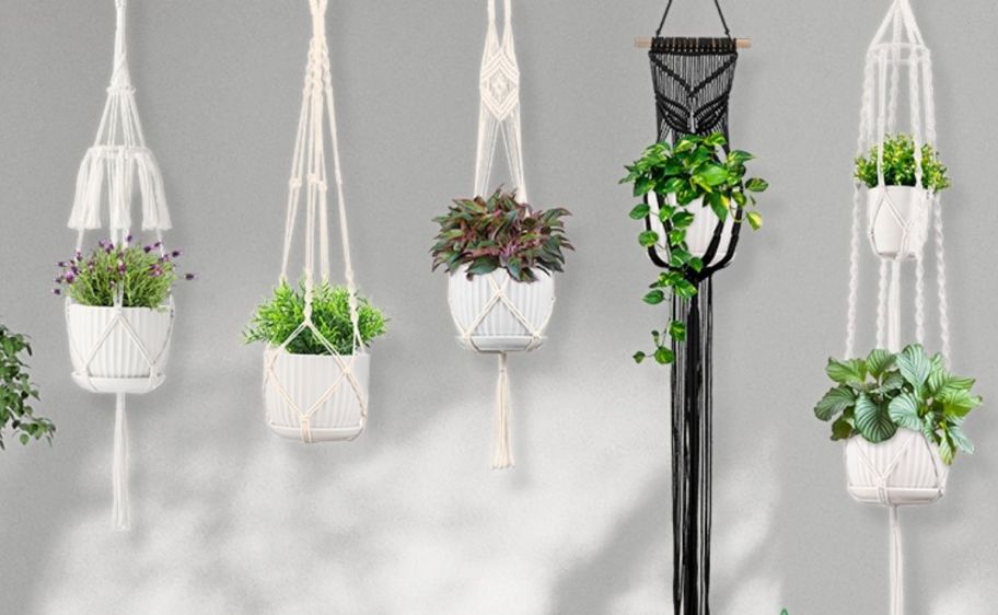 5 hanging macrame plant holders with plants