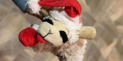 Lamb Chop 6″ Dog Toy Only $3.99 Shipped (Reg. $8)