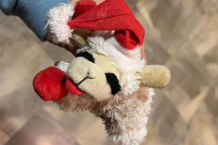 a hand holding a lamb chop dog toy
