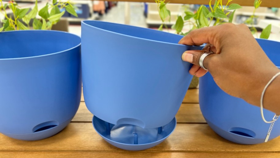 hand holding blue self watering planter