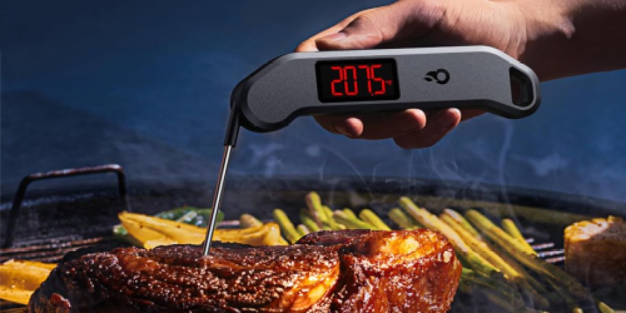 Digital Meat Thermometer Only $7.99 on Amazon | Great for Summer Cookouts!