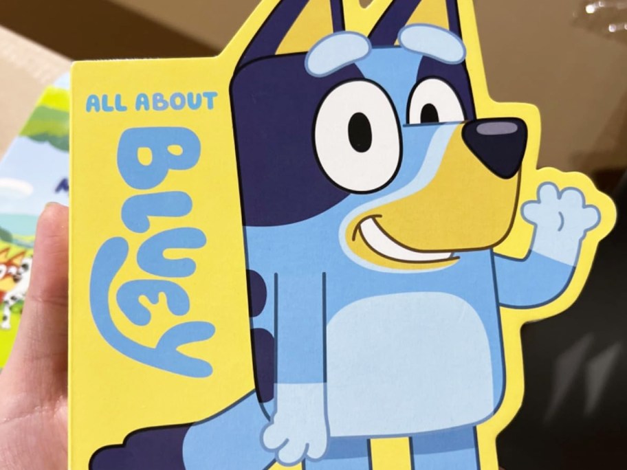 hand holding a bluey-shaped board book