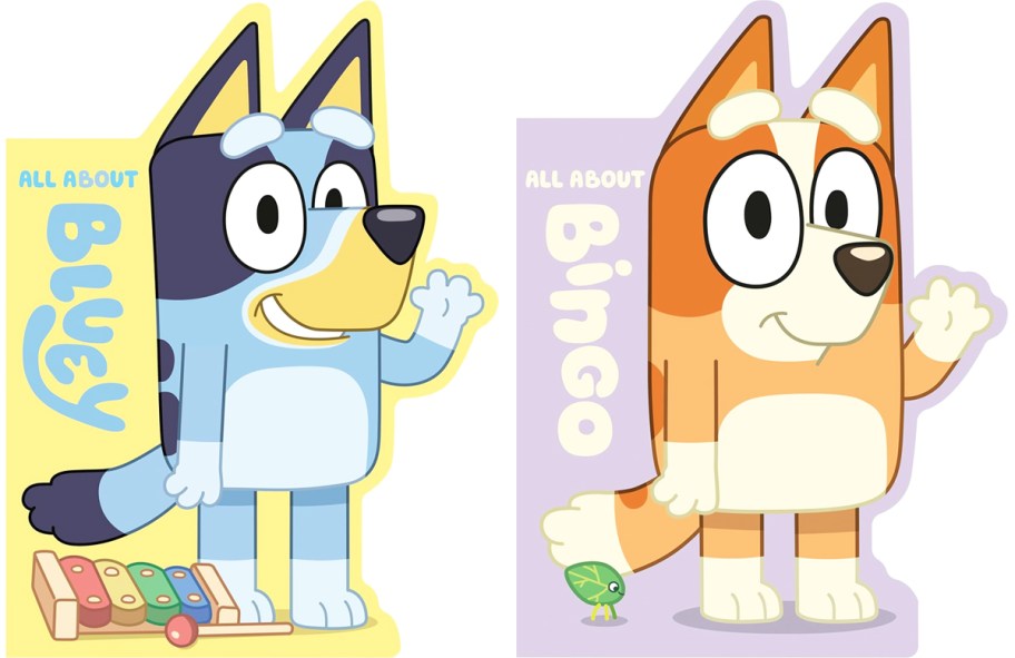 all about Bluey & Bingo board books