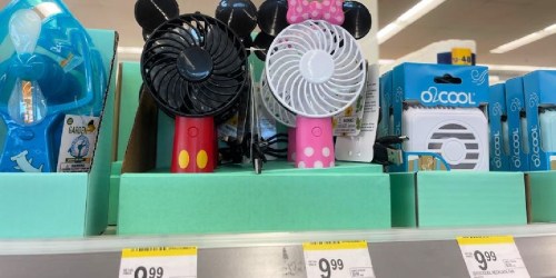 Disney Theme Park Fans Only $8.99 – Going Fast at Walgreens!