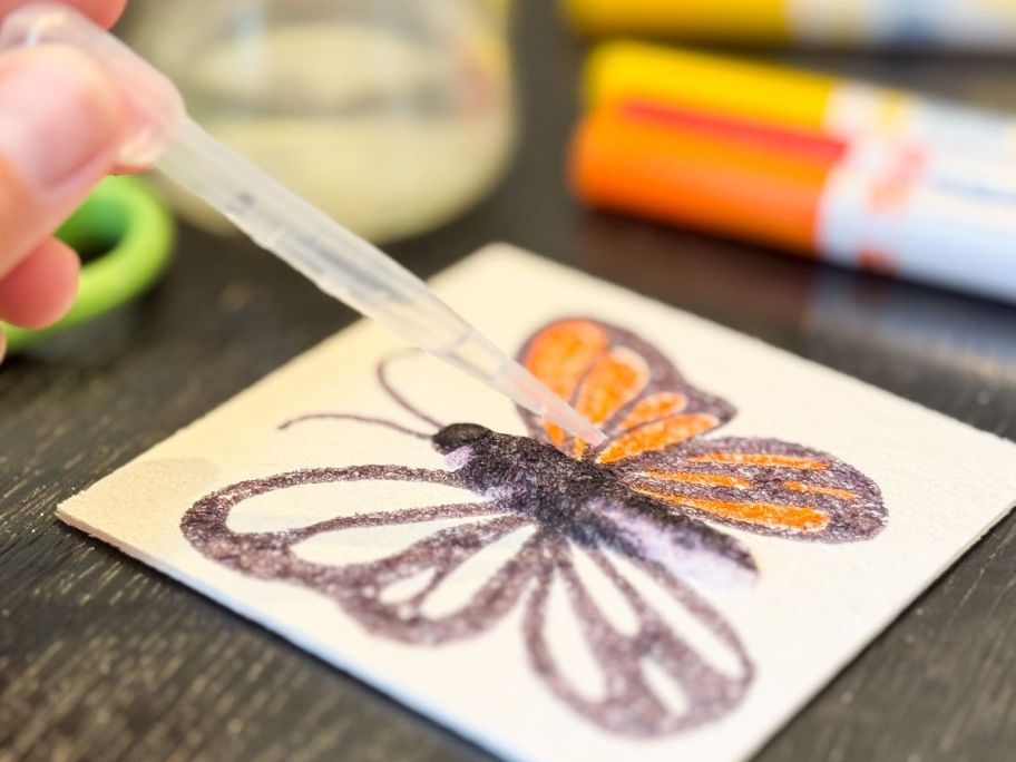 Hand using a dropper to put water on a picture of a monarch butterfly on foam paper