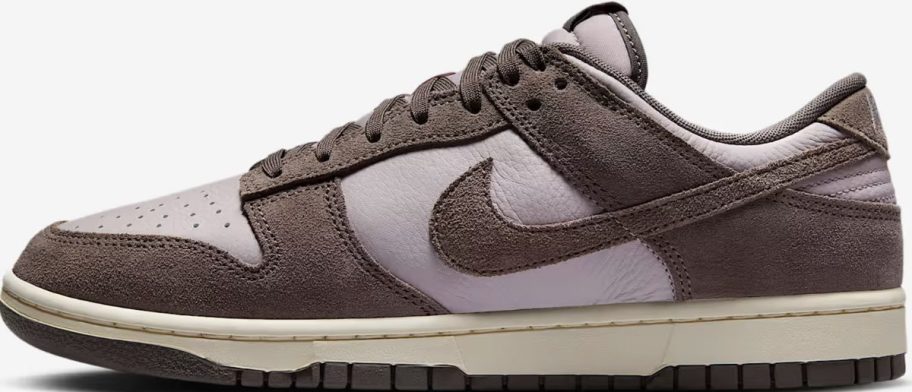 Nike Dunk Low Retro SE Leather/Suede Men's Shoes