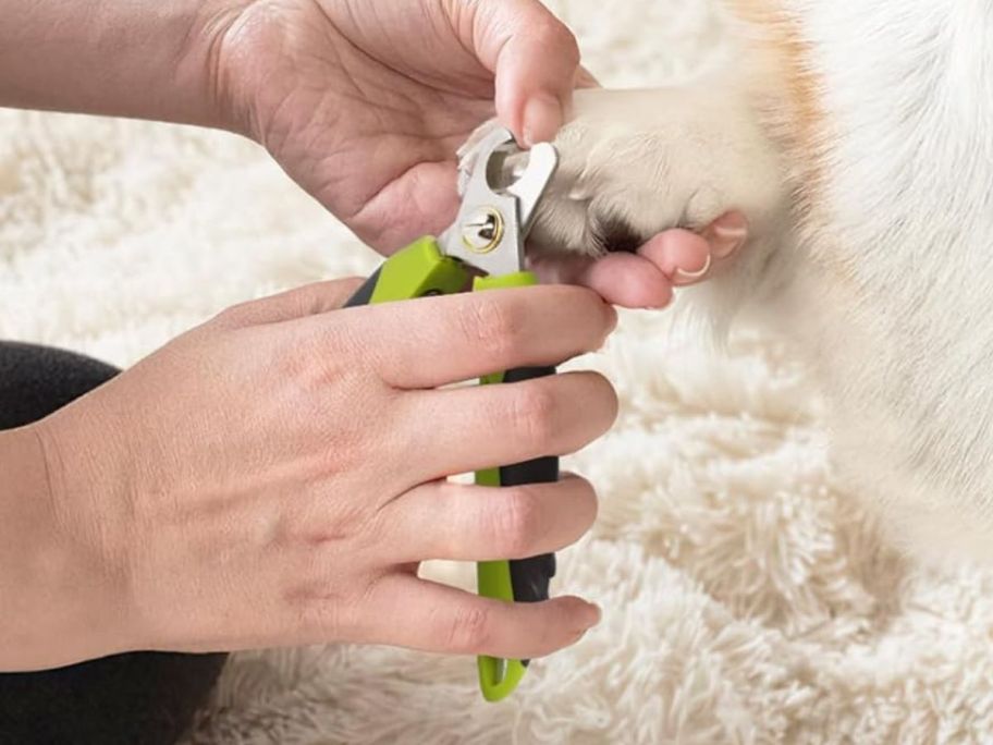 A person using a green nail clipper on their dog's paw