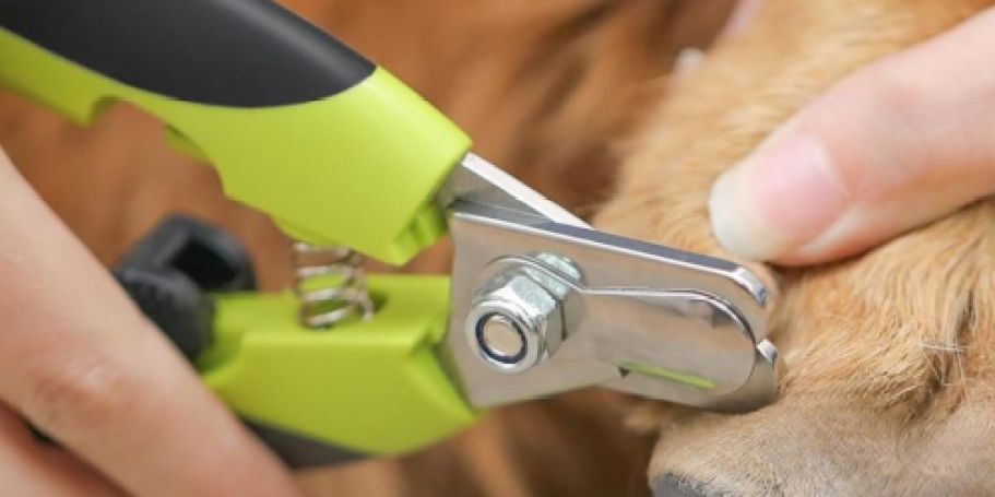 Pet Nail Clippers Set Just $3.99 Shipped for Amazon Prime Members (Reg. $6)