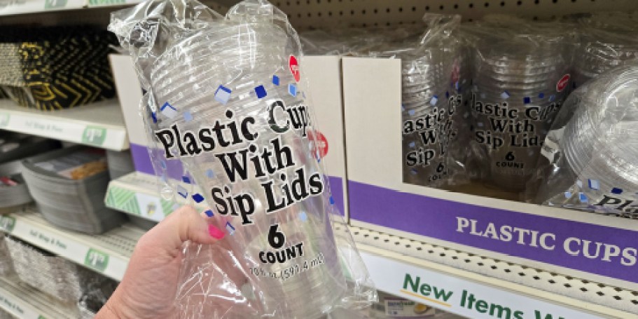 We Finally Found the Viral Dollar Tree Sip Cups!