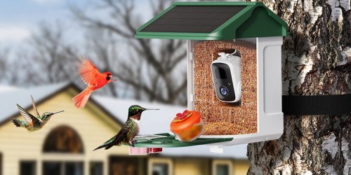 Solar-Powered Smart Bird Feeder Only $53.99 Shipped for Prime Members (Reg. $130)