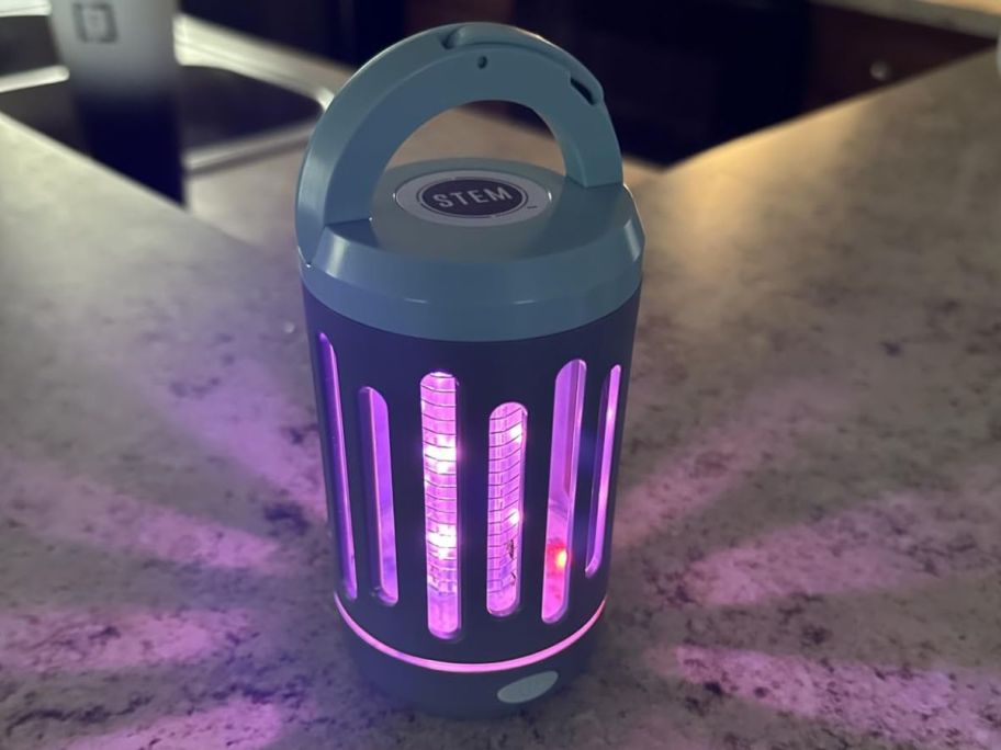 stem bug displayed on top of a table with the lights on