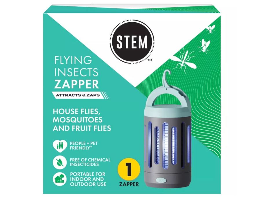 Stem bug inside of its box 