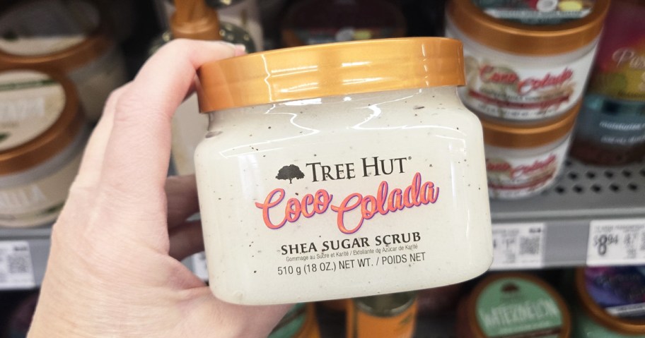 hand holding a white jar of Tree Hut Shea Sugar Body Scrub in Coco Colada scent