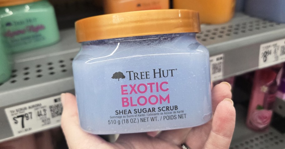 hand holding a jar of Tree Hut Shea Sugar Body Scrub in Exotic Bloom scent