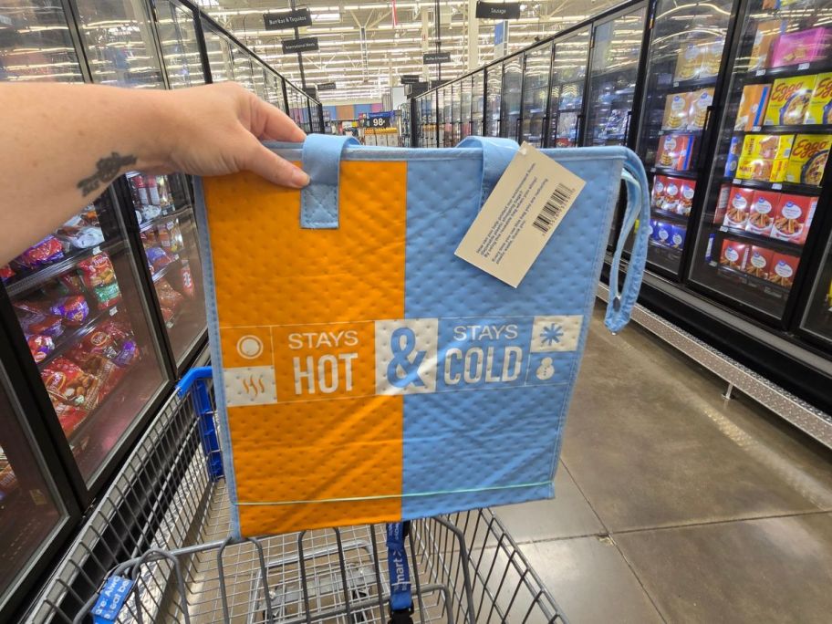 A person holding an insulated tote bag