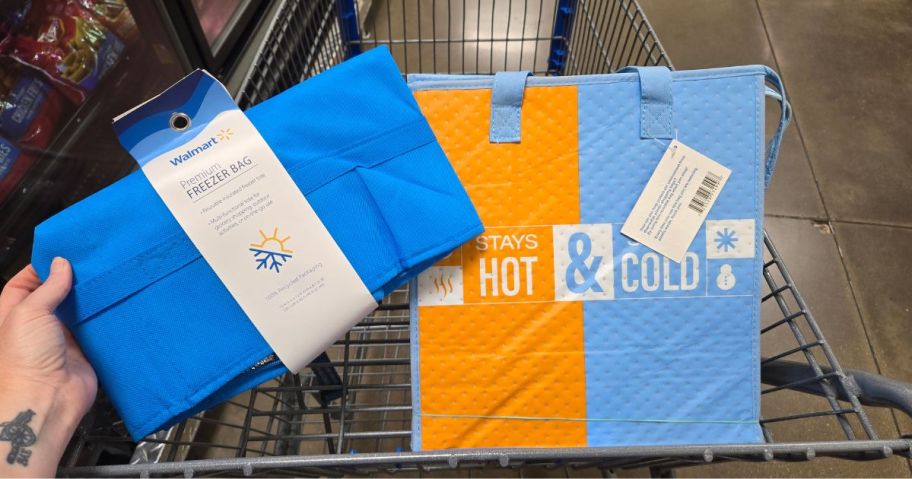 2 insulated tote bags