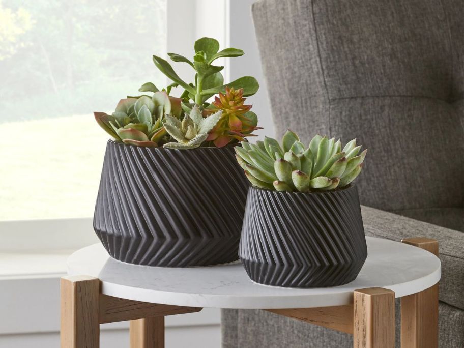 Better Homes & Gardens Black Ceramic Ridge Planter on table with succulent in it